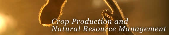 Crop Production & Natural Resource Management